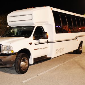 15 Passenger Party Bus Rental